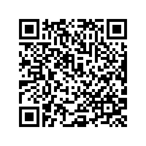 qr-code-of-Martelo-IDSSC-Consultant